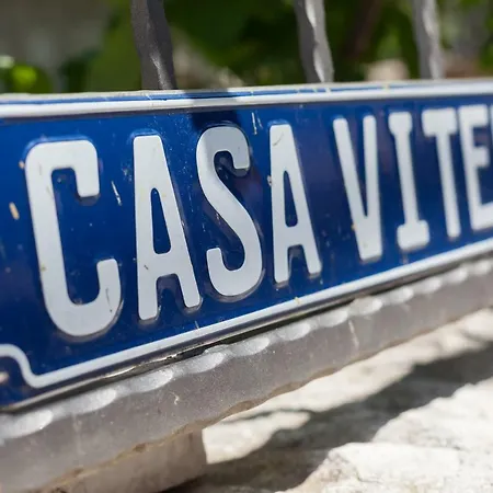 Casa Viter Zaostrog Apartment Exterior photo